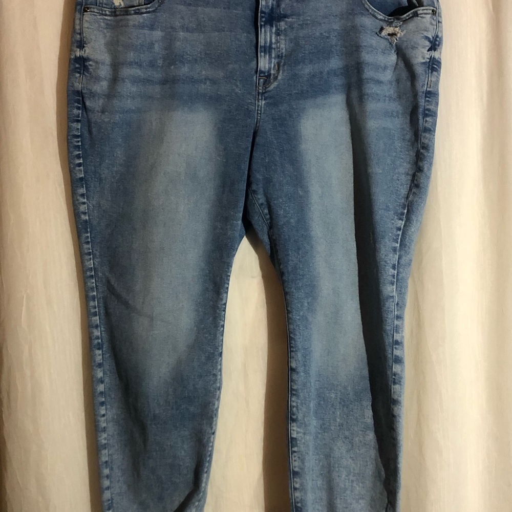 Lane Bryant Blue Skinny Jeans with Medium Wash